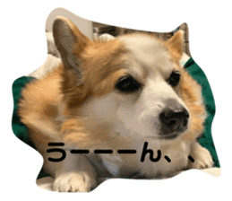 334503067