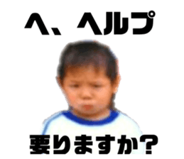 334537791
