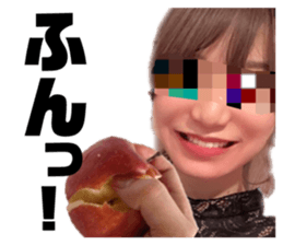 334537803
