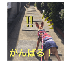 334545112