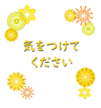 334561806