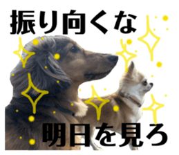 334597309