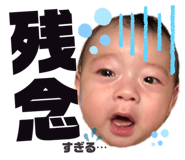 334604049