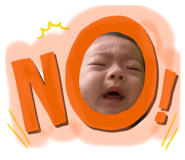 334604055