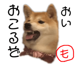 334630845