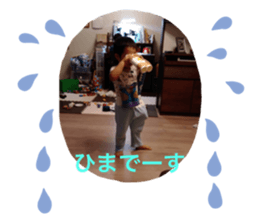 334631725