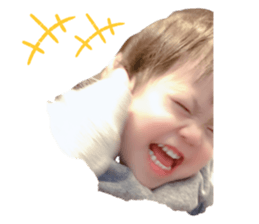 334633523