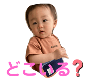 334661136