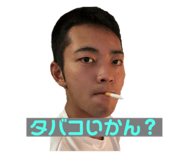 334697015