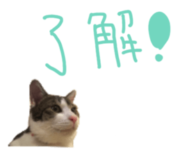 334728453