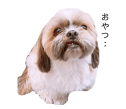 334754185