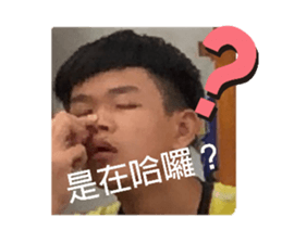 334756695