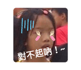 334756697