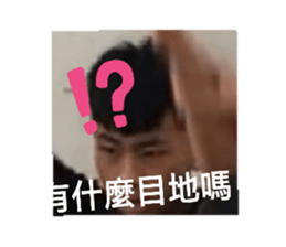 334756698