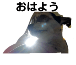 334772443