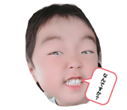 334797913