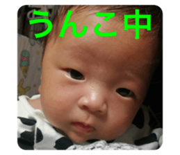 335010137