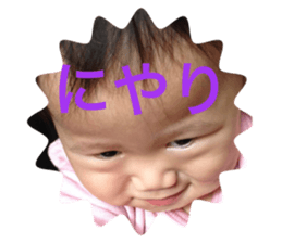 335011380