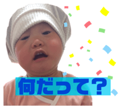 335011388