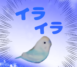 335052881