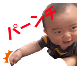335072061