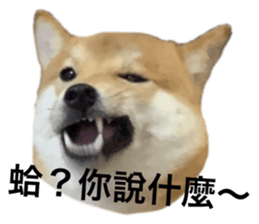 335072381
