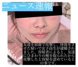 335195764