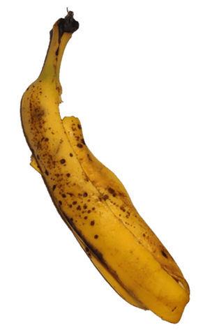 335244791