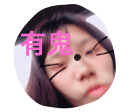 33526469