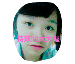 33526486