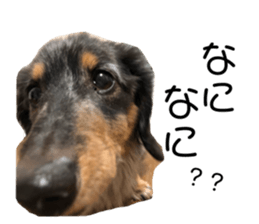 335271187