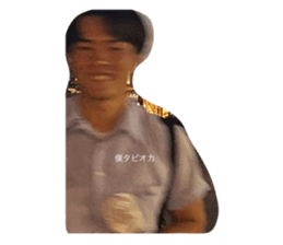 335273262