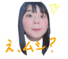 335302687