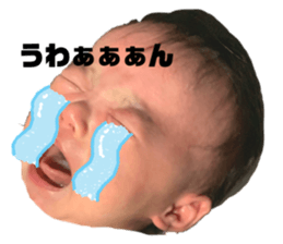 335356616