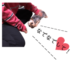 335364455