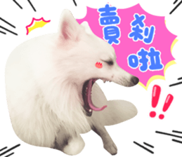 335366303