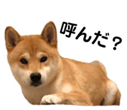 335368343