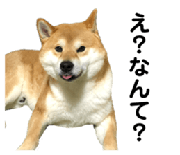 335368344