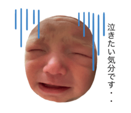 335396431