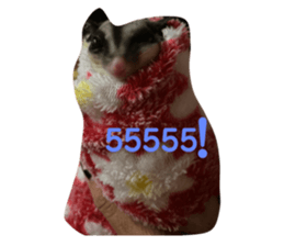 335429805