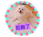 33551083