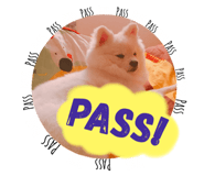 33551094
