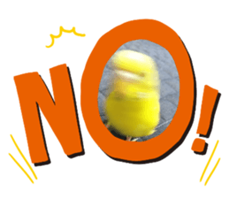 335526079