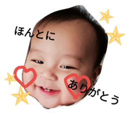 33553401