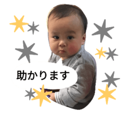 33553402