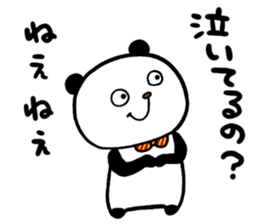 33555005
