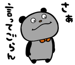 33555020