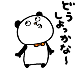 33555023