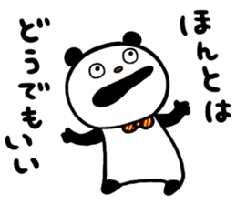 33555031