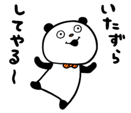 33555032